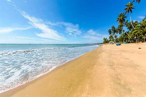 Vũng tàu -> mũi né (phan thiết)